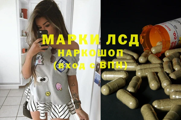 мдпв Магас