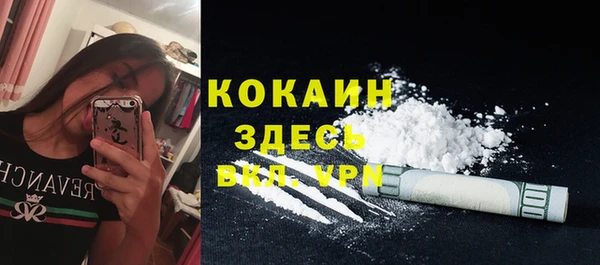 мдпв Магас
