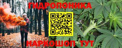 apvp Заволжье