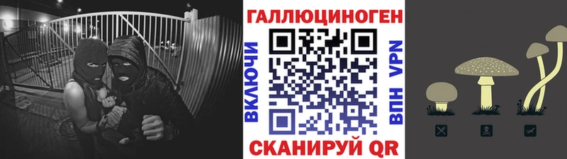Галлюциногенные грибы Psilocybe  omg   Стерлитамак 