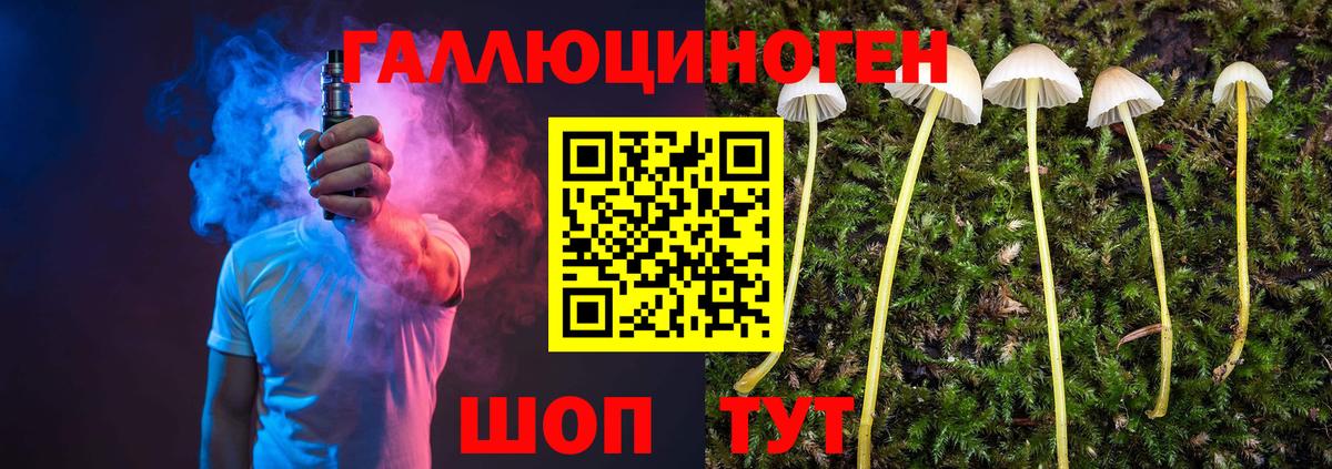 Стерлитамак  что такое наркотик  Вход с VPN  Псилоцибиновые грибы MAGIC MUSHROOMS 
