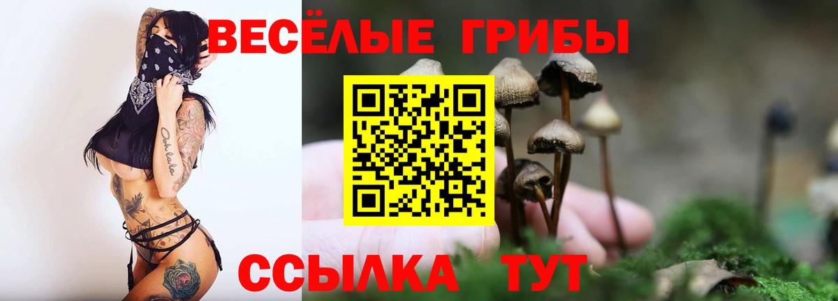Псилоцибиновые грибы прущие грибы Стерлитамак